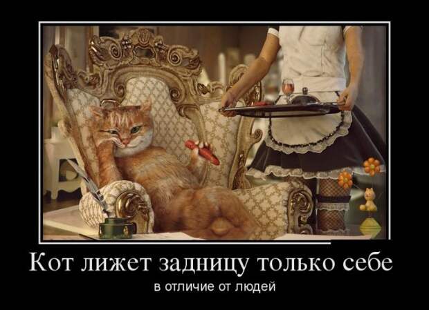 Демотиваторы - 934 Демотиваторы - 934