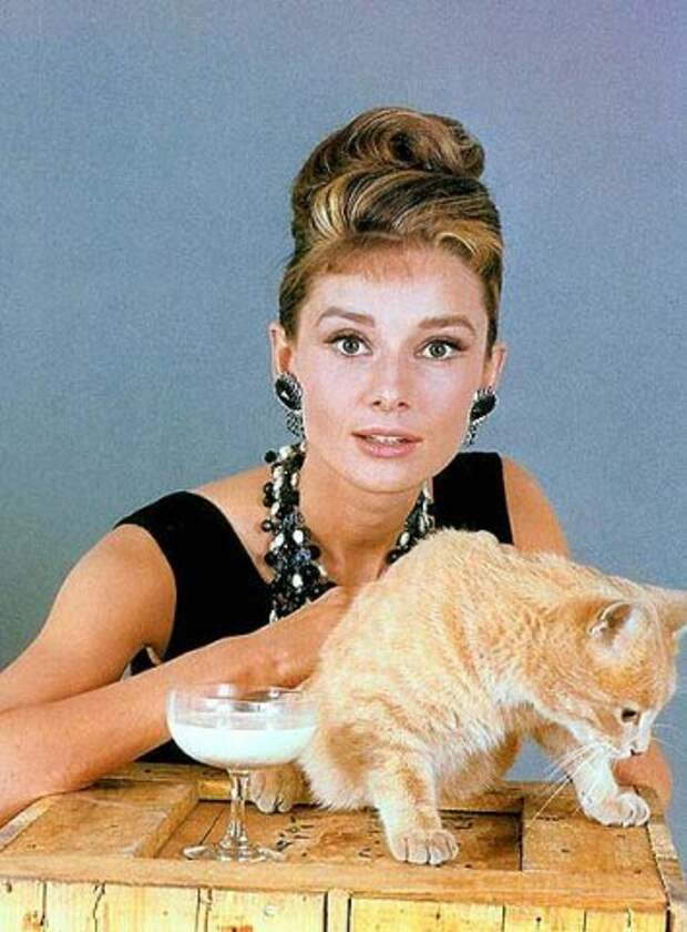 Одри Хепберн и Кот. Фото / Audrey Hepburn and Cat Rhubarb. Photo 