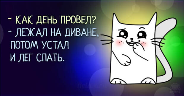 10 открыток, которые не могут не улыбнуть
