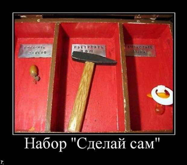 Демотиваторы 13.03.11