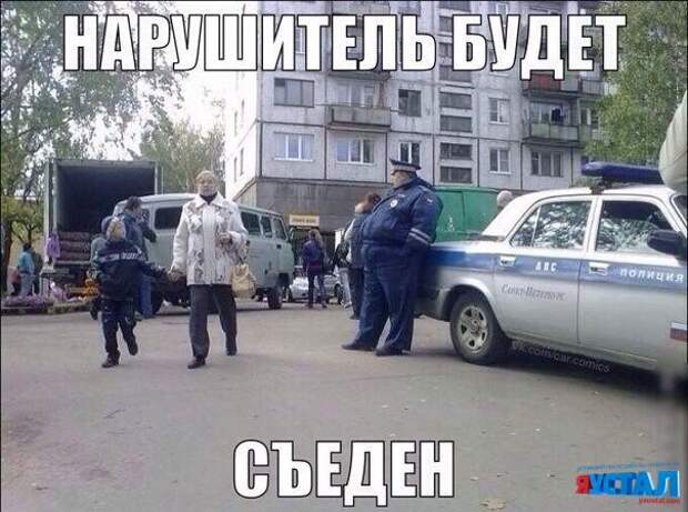 Смешные картинки с надписями прикол, юмор