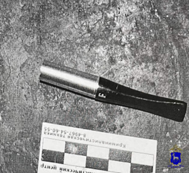 В Самарской области установленный полицейскими по ДНК местный житель обвиняется в краже из частного дома, совершенной в 2019 году