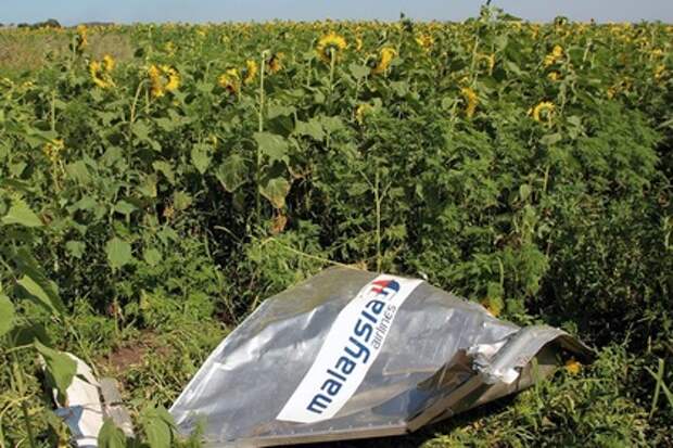 Сбор обломков на месте катастрофы