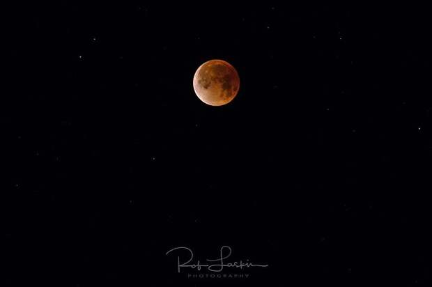 Фотограф Rob Laskin