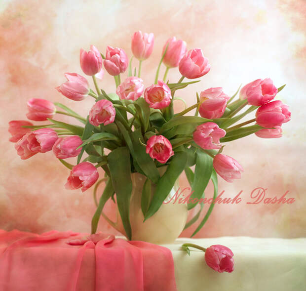 Даша Никончук Розовые тюльпаны НАТЮРМОРТЫ (700x666, 239Kb)