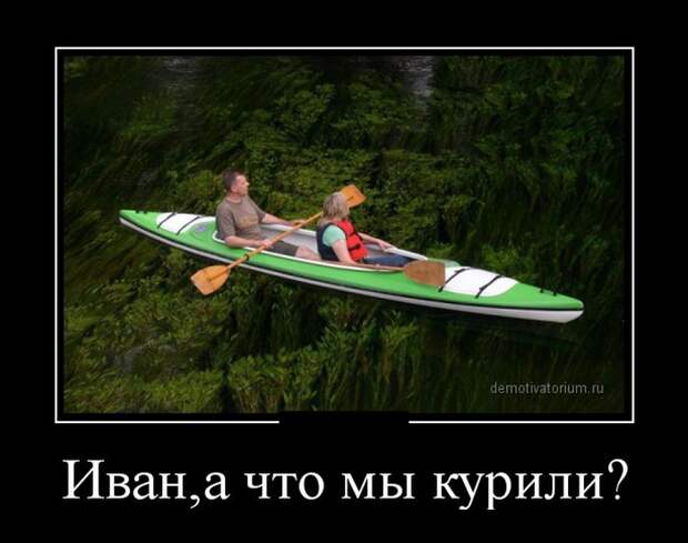 Подборка демотиваторов Подборка демотиваторов демотиваторы, юмор