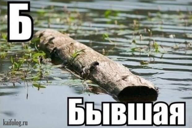 Русский алфавит (65 картинок)