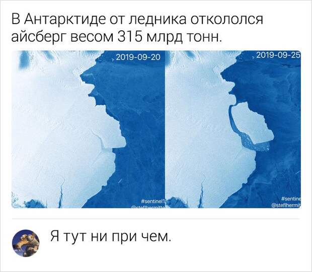kommentariev-smeshnyh-podborka-kartinki-smeshnye-kartinki-fotoprikoly