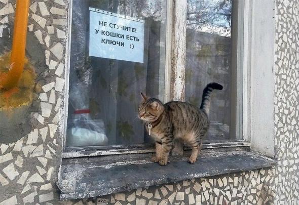 Подборка интересных фотографий... часть четвертая...