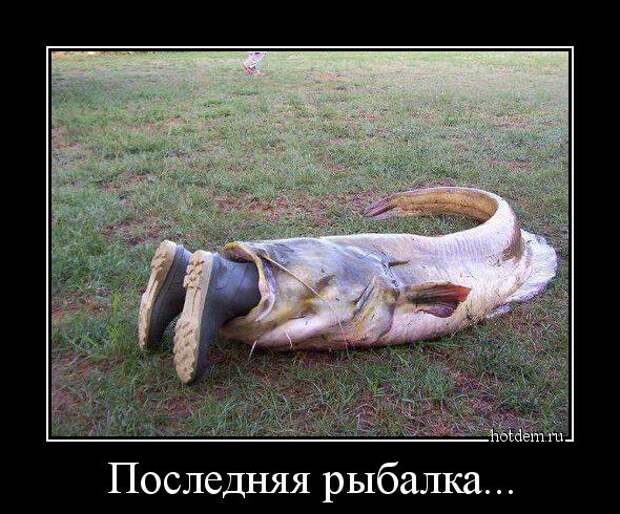 Демотиваторы демотиваторы, прикол, смех, юмор