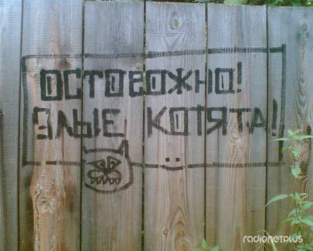 Маразмики №180614