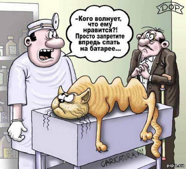 Смешные карикатуры Смешные карикатуры