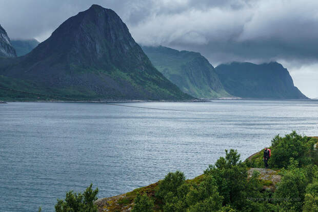 Невероятная Норвегия: Чудо-юдо Рыба-кит