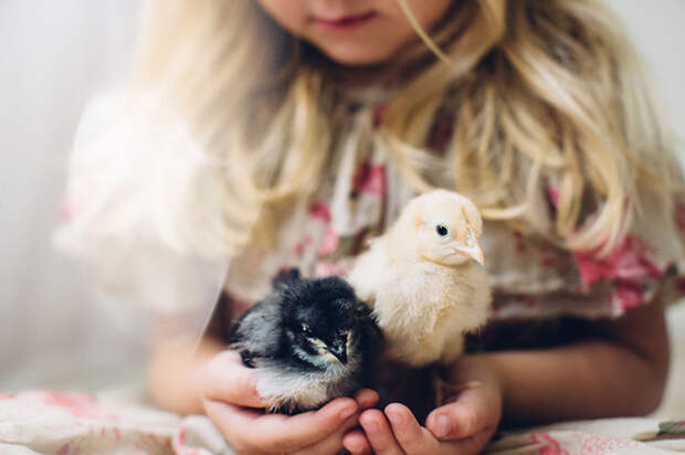23. Кейт Оман, США дети, животные, конкурсы, фото