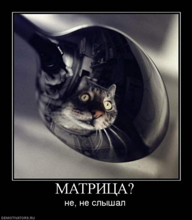 Демотиваторы смешнее подборки чем у нас не найдете!