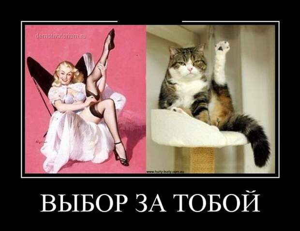 Демотиваторы демотиваторы, юмор