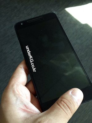 Фронтальная часть мятного Nexus 5X