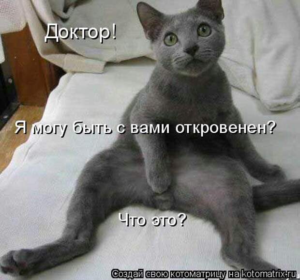 Подборка прикольных котоматриц