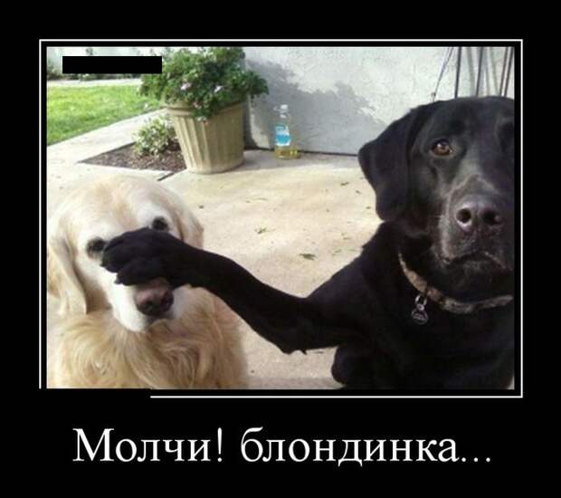 Демотиваторы демотиваторы, прикол, смех, юмор