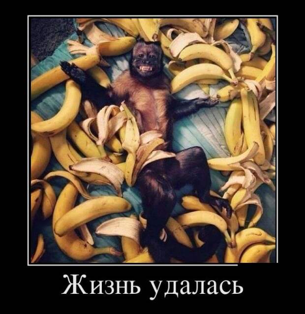 Демотиваторы демотиваторы, юмор