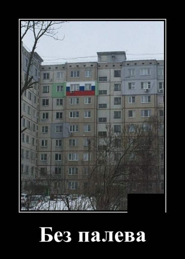 Демотиваторы (20 фото)