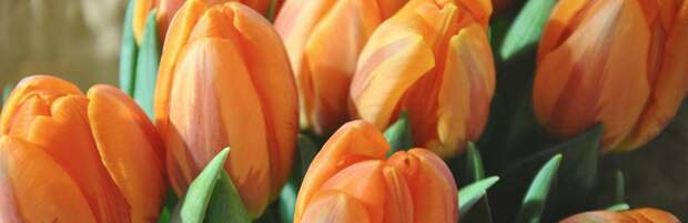 В Алматы подготовили специальные площадки для продажи цветов к 8 Марта