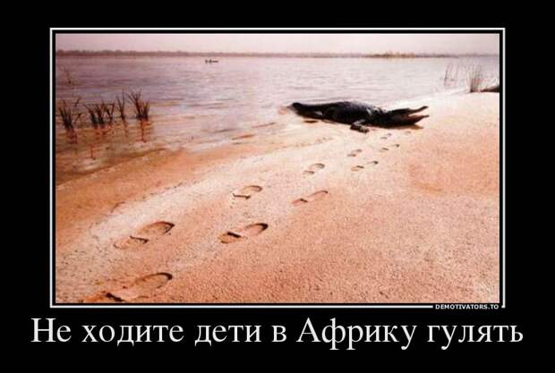 Демотиваторы 