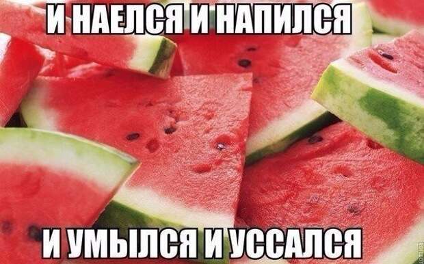 Смешные картинки с надписями прикол, юмор
