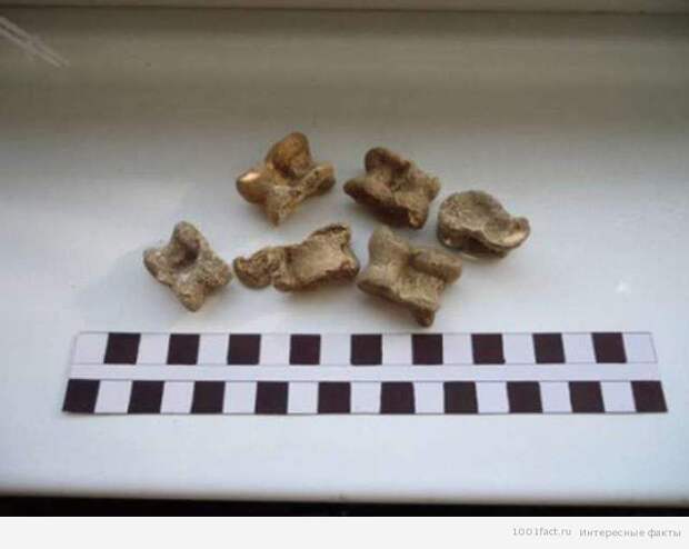 игра "бабки"