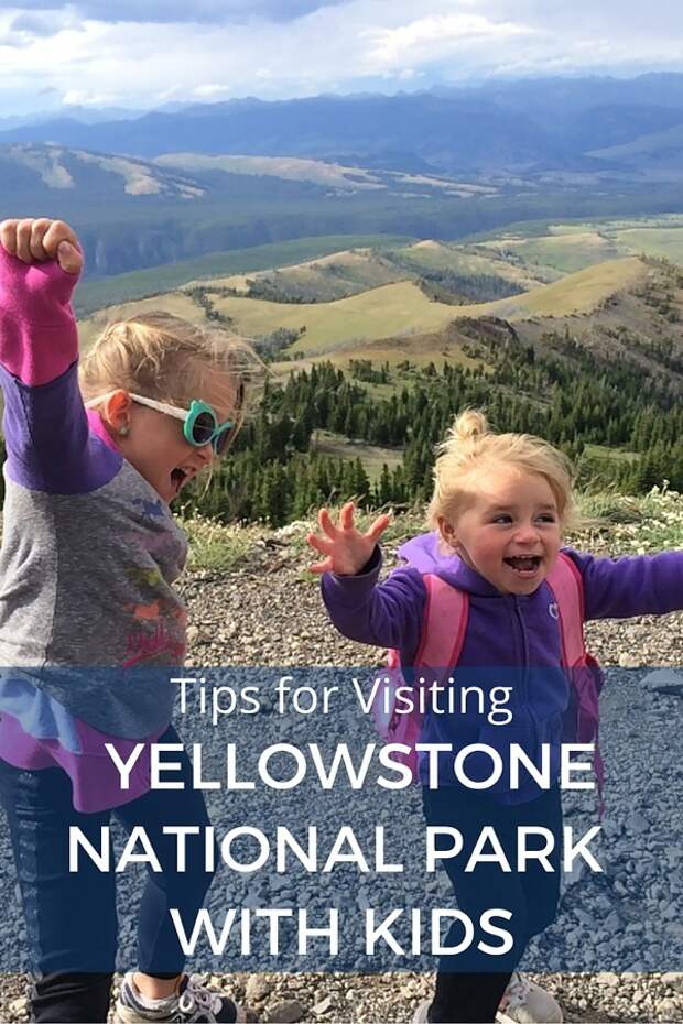 Tips for Visiting Yellowstone National Park600