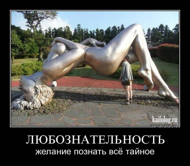 Демотиваторы - 137 (50 фото)
