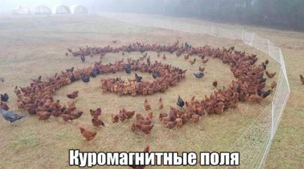 Прикольные картинки с надписями=))