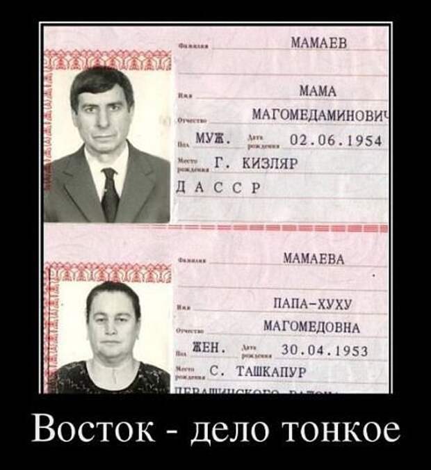 Нарочно не придумаешь))) картинки, паспорт, смешно