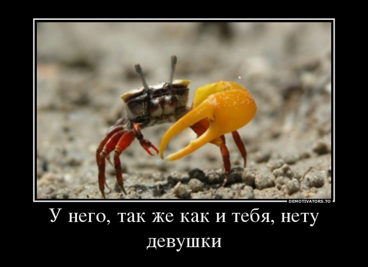 Демотиваторы демотиваторы