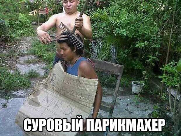 Смешные картинки с надписями прикол, юмор