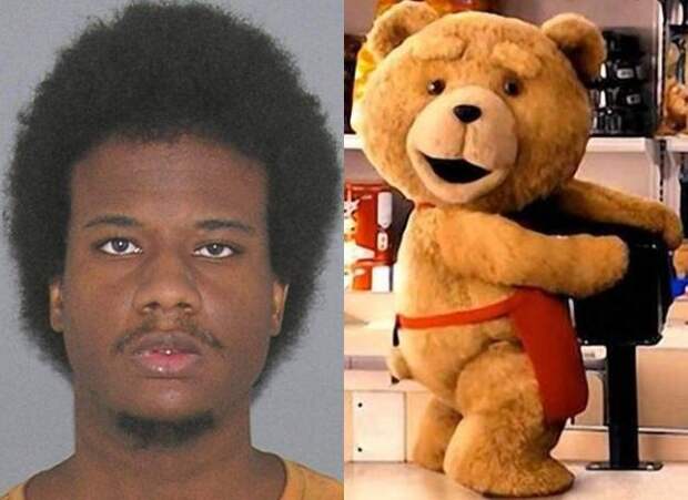 bear