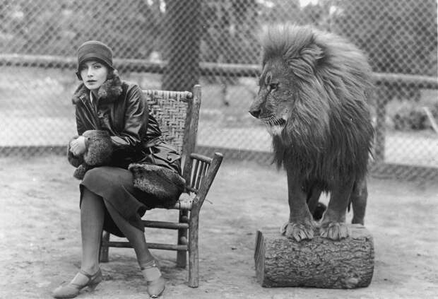 MGM-Lion-2.jpg MGM-Lion-2.jpg