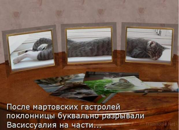 Летняя подборка Котоматриц 2010 - Выпуск 18