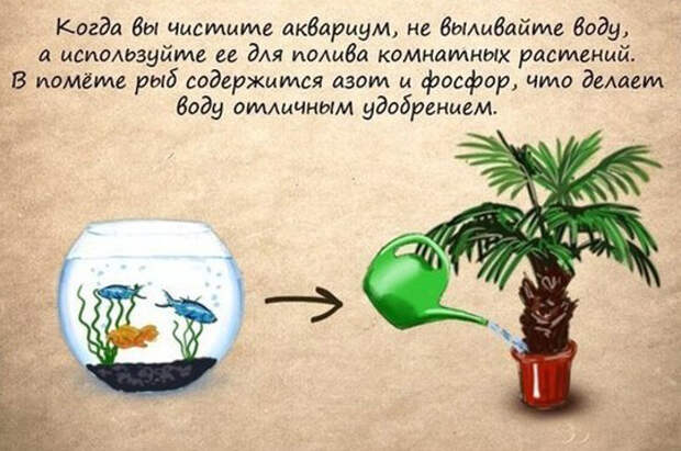 Полезные советы 4