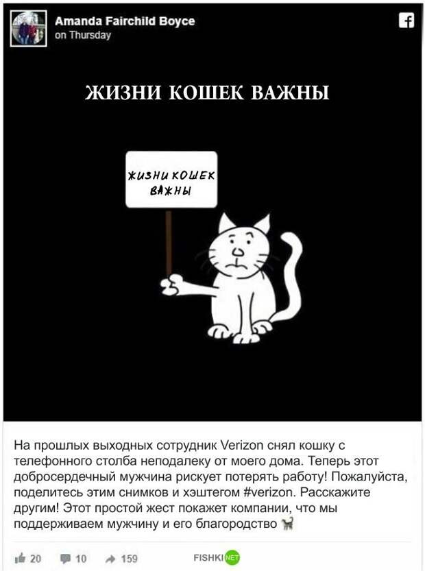 Действия Verizon вызвали всеобщее недоумение истории, кошка, отстранение, работа, рабочий, спасение, сша