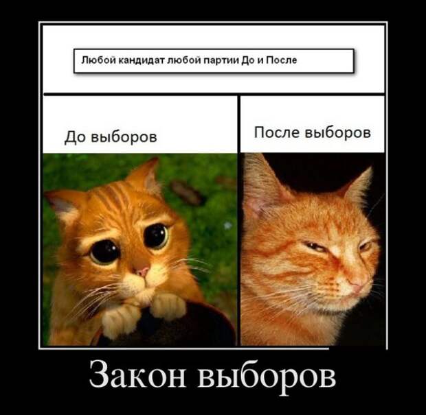 Демотиваторы №1081 (30 фото)