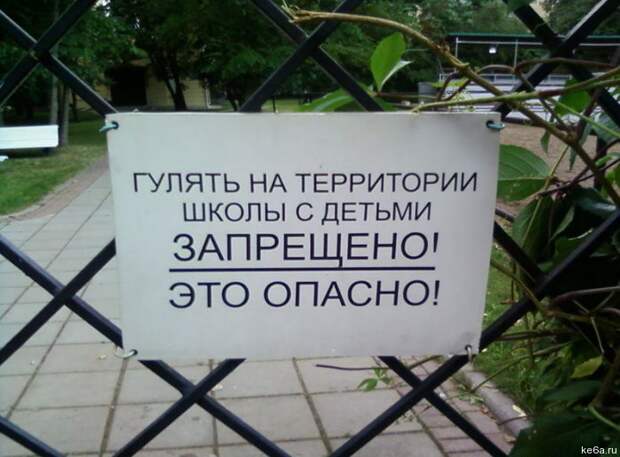 Прикольные картинки про школу