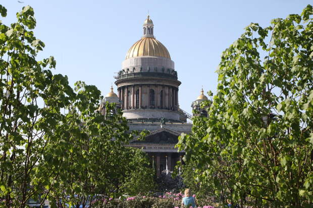 Петербуржцам рассказали о предстоящих культурных событиях