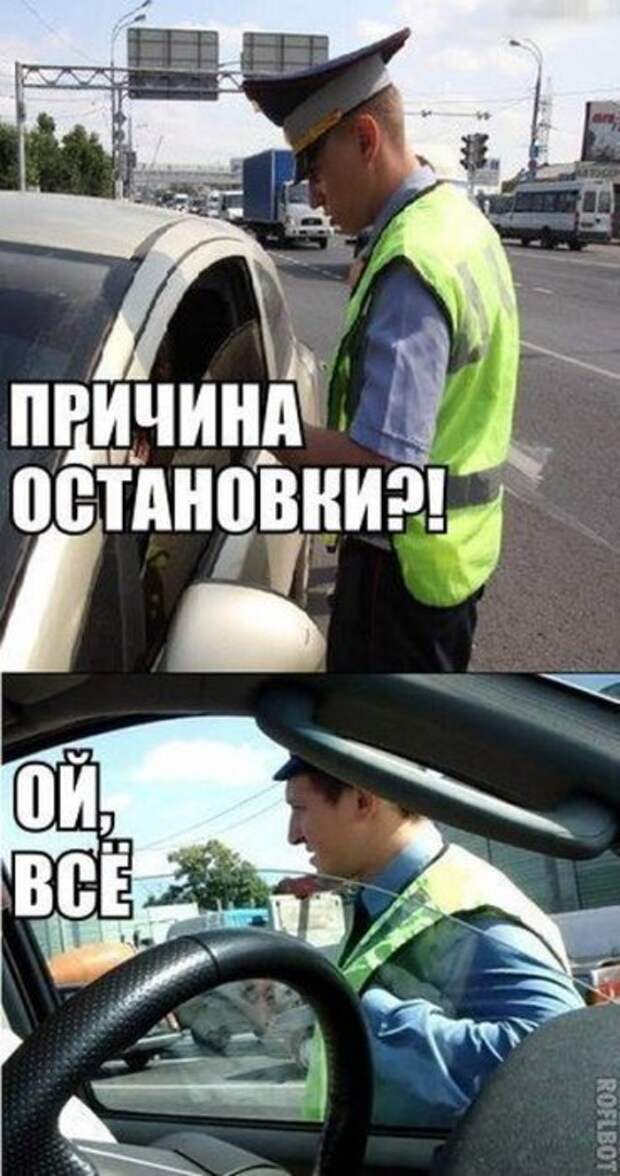 Солянка из прикольных картинок и фотографий