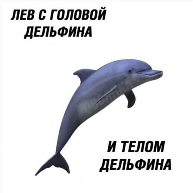 Неадекватный юмор из социальных сетей. Подборка chert-poberi-chert-poberi-11500805052020-2 картинка chert-poberi-11500805052020-2