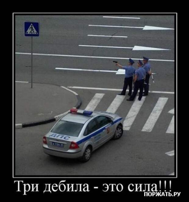 Демы (26 фото)