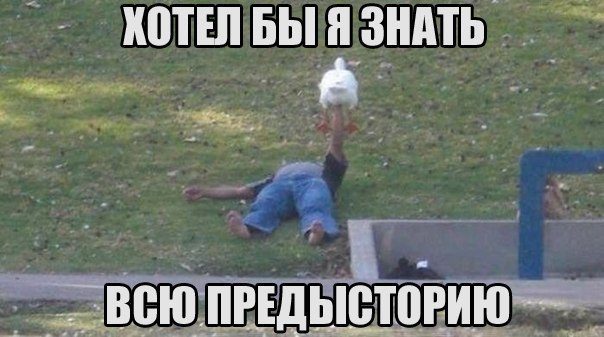Смехопанорама. Кайф!