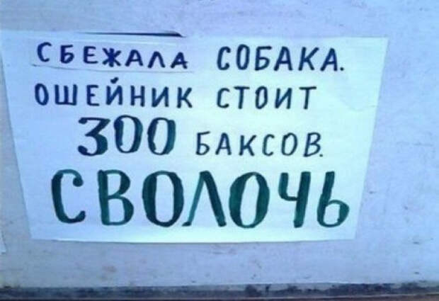 объявления, которые сделали наш день