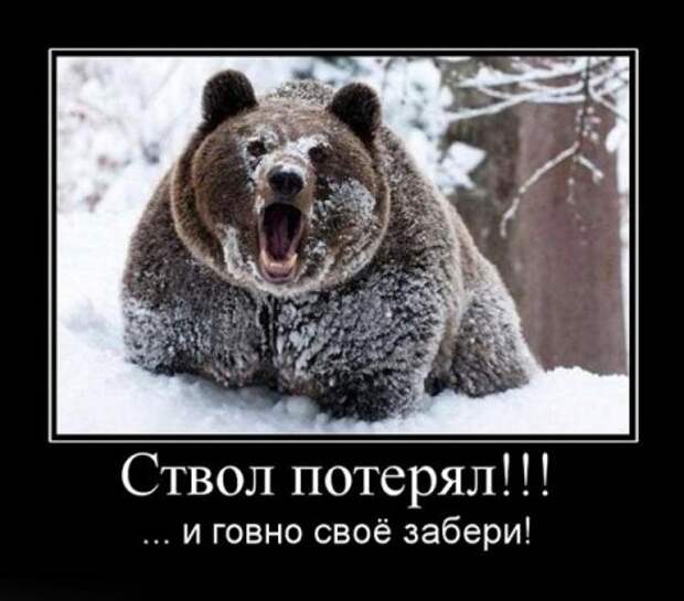 Демотиваторы забавные, новые и только прикольные для вас!
