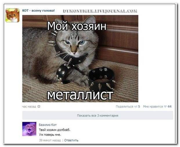 Смешные комментарии из социальных сетей комментарии, прикол
